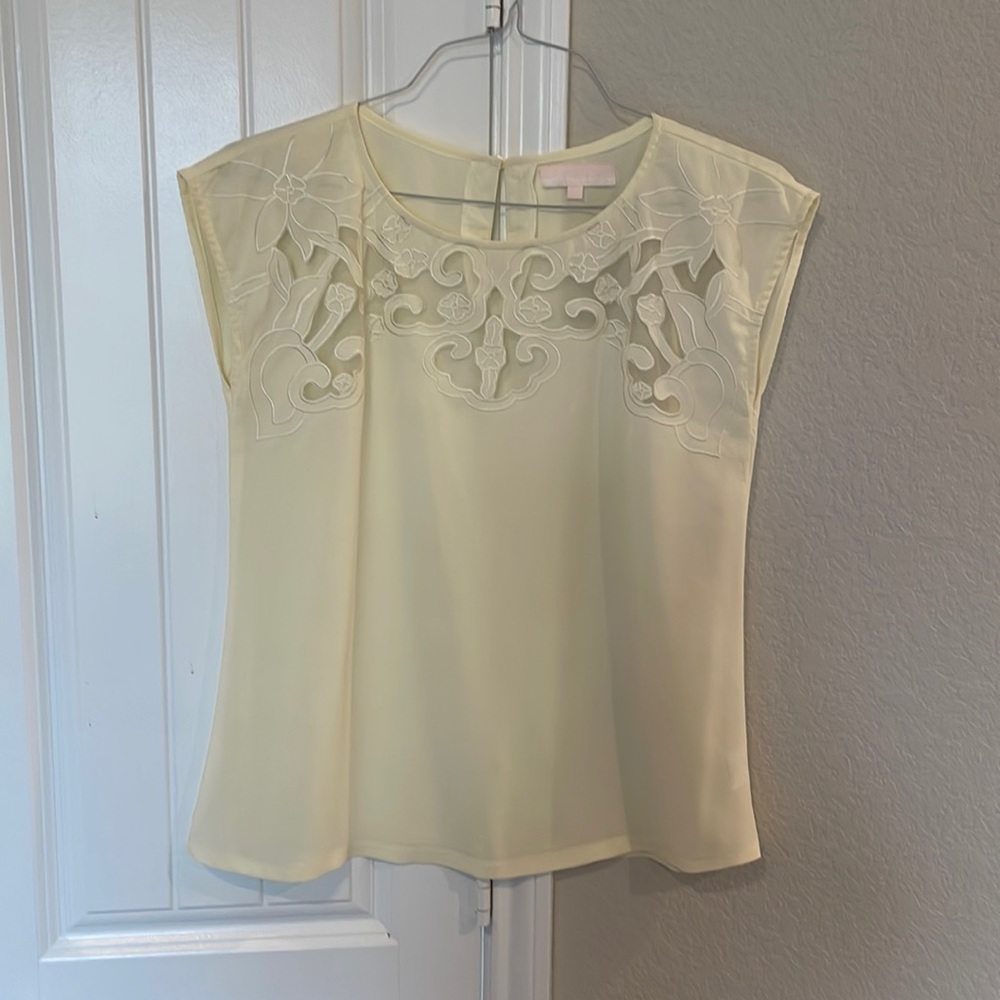 Delicate blouse with lacework near collar. Used, great condition.